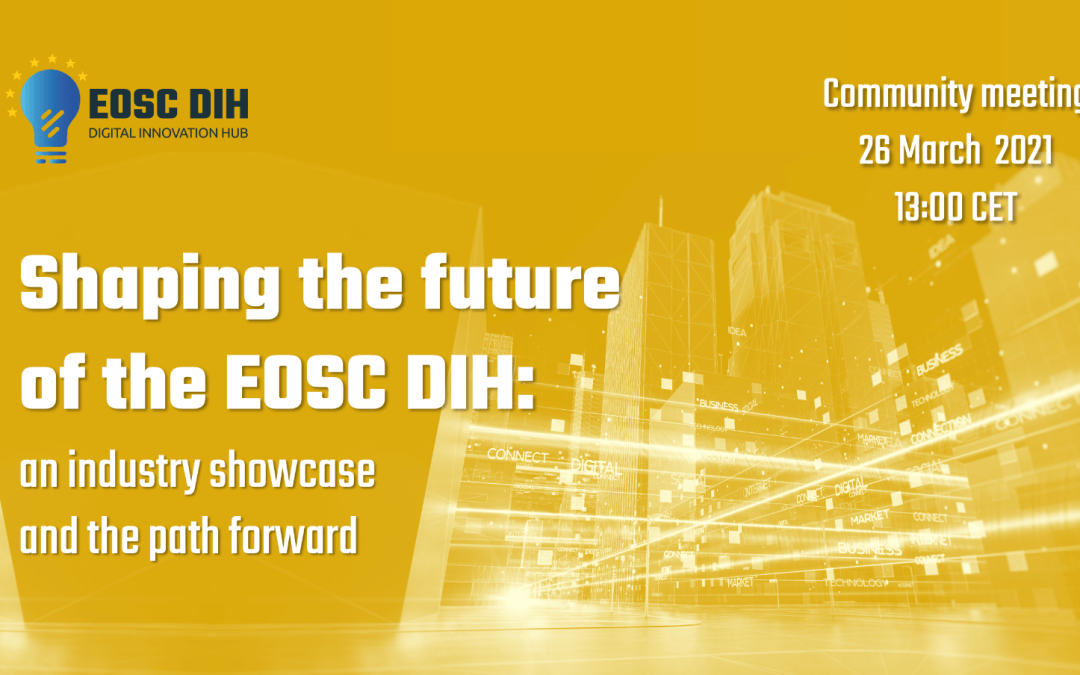 Shaping the future of the EOSC DIH